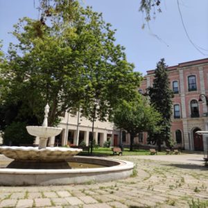 İstanbul Üniversitesi